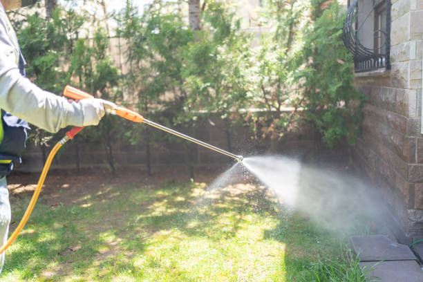 Best Pest Prevention Services  in Lyons, OR