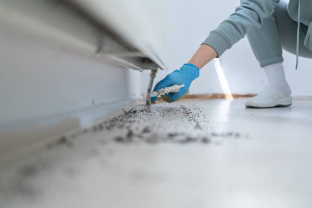 Best Exterminator Services  in Lyons, OR